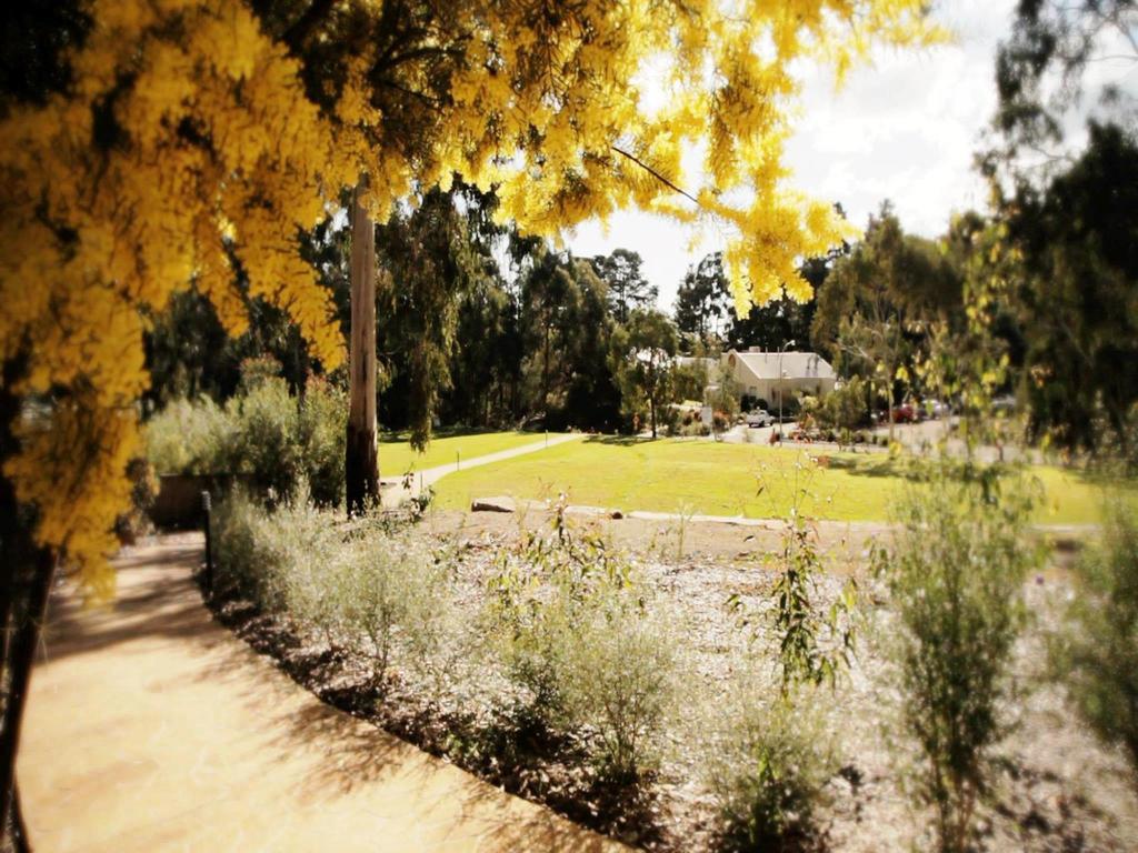 Hotel Foothills Lilydale Zimmer foto